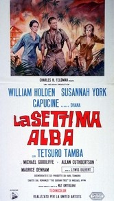 Locandina di La settima alba