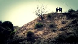 Trailer - The Bridge