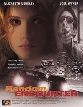 Incontro casuale: la locandina del film