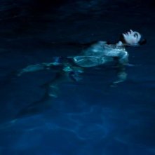 Les Apaches: Hamza Meziani in una scena del film diretto da Thierry de Peretti