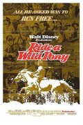 A cavallo di un pony selvaggio: la locandina del film