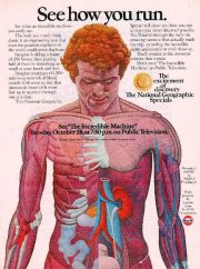 The Incredible Machine: la locandina del film