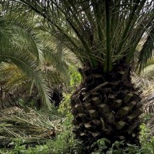 Sacro GRA: un'immagine del film