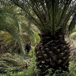 Sacro GRA: un'immagine del film