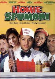 L'amore non ha colore: la locandina del film