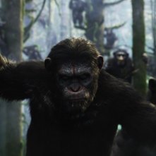 Dawn of the Planet of the Apes: la prima immagine del film