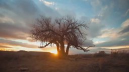 Teaser 'Ozymandias' - Breaking Bad, stagione 5 - Parte 2