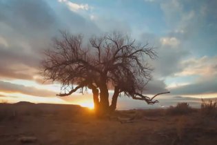 Teaser 'Ozymandias' - Breaking Bad, stagione 5 - Parte 2