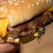 What Now? Remind Me: una scena