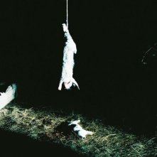 Story of my Death: sacrificio animale in una scena del film