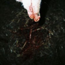 Story of my Death: una macabra scena del film