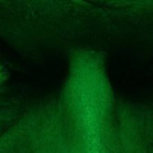 The Strange Colour of Your Body's Tears: una scena tratta dal film