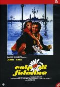 Colpo di fulmine: la locandina del film