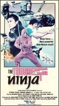 Ninja la conquista del mondo: la locandina del film