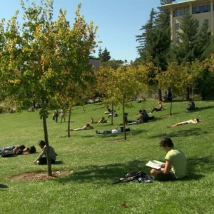 At Berkeley: una scena tratta dal documentario sulla prestigiosa università