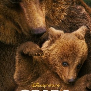 Bears: la locandina del film