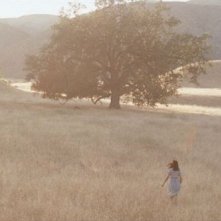 Medeas: una panoramica scena del film
