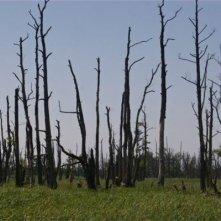 Wolfskinder: un'immagine del film