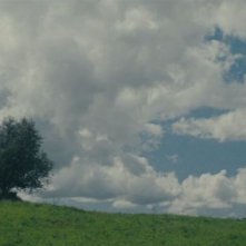 Wolfskinder: una scena