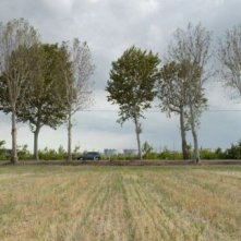 Piccola patria: un'immagine tratta dal film