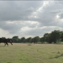 La belle vie: Nicolas Bouchaud e Zacharie Chasseriaud corrono dietro a un cavallo in una scena del film