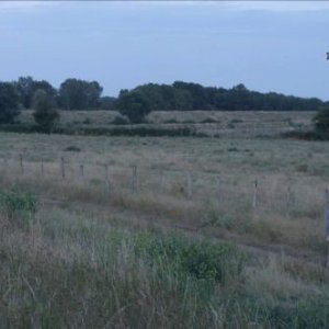 La belle vie: una scena tratta dal film