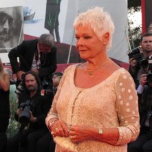 Venezia 2013 Judi Dench Presenta Philomena Sul Red Carpet 284262