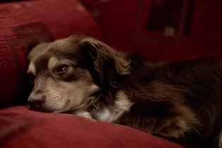 Trailer - Closed Curtain