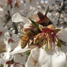 Un mondo in pericolo: una scena del documentario