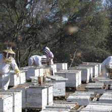 Un mondo in pericolo: una scena del film