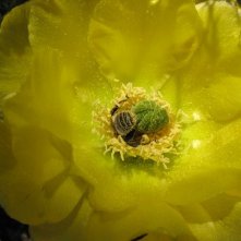 Un mondo in pericolo: una scena tratta dal film