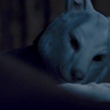 You're next: un'inquietante scena tratta dal film horror