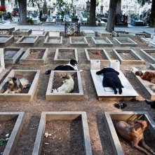 Via Castellana Bandiera: Elena Cotta in una delle più suggestive scene del film