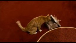 Clip 'Ciao micio!' - I Puffi 2