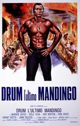 Drum - L'ultimo mandingo: la locandina del film