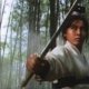 Martial Arts Movies: 10 titoli per (oltre) mezzo secolo di storia
