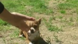 Backstage 'Le prime due settimane di lavorazione' - Un fantastico via vai