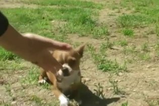 Backstage 'Le prime due settimane di lavorazione' - Un fantastico via vai