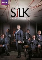 La locandina di Silk