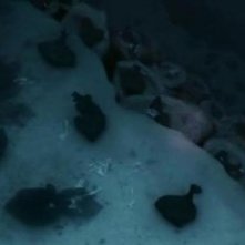 Dexter: una scena dell'episodio It's Alive!