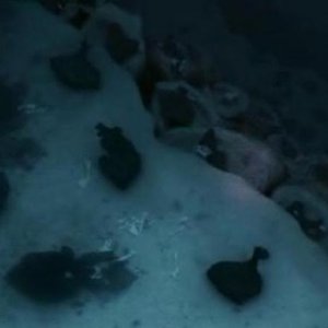 Dexter: una scena dell'episodio It's Alive!