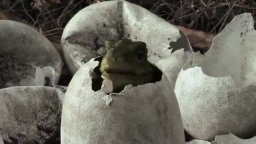 Trailer - Spotty il dinosauro 3D