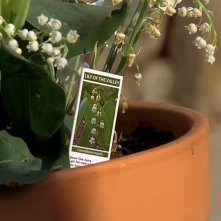 Breaking Bad: l'inquadratura finale dell'episodio Fine della storia della quarta stagione