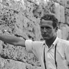 Paul Newman, un bellissimo ritratto dell'attore.