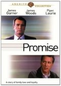 Promise: la locandina del film