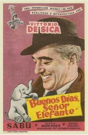 Buongiorno, elefante!: la locandina del film