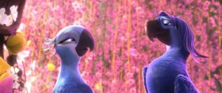 Rio 2: Blu e Jewel in una scena del film