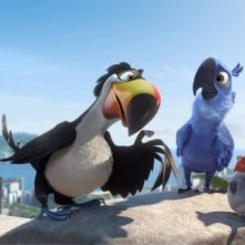 Rio 2 Blu Parla Con I Nuovi Amici In Una Delle Prime Immagini Del Film 287025