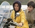 Il Blu-ray di Harold e Maude