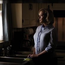 Rectify: J. Smith-Cameron in una scena